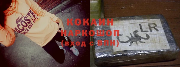 гашик Новодвинск