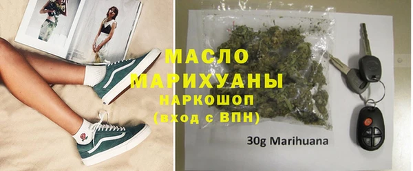 гашик Новодвинск