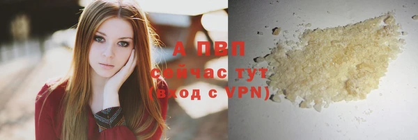 гашик Новодвинск