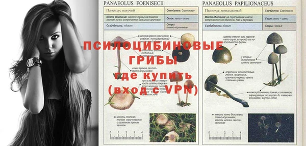 гашик Новодвинск