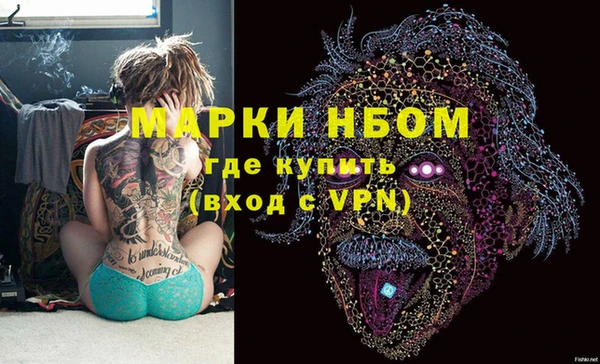 гашик Новодвинск