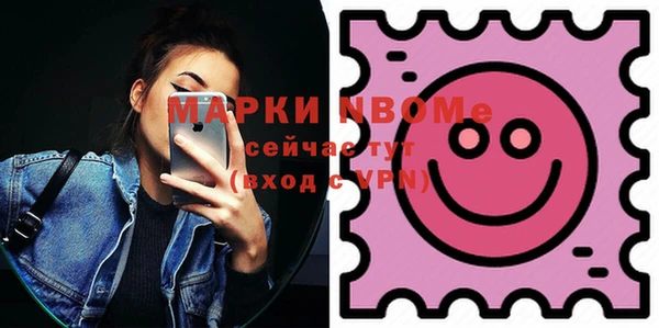 гашик Новодвинск