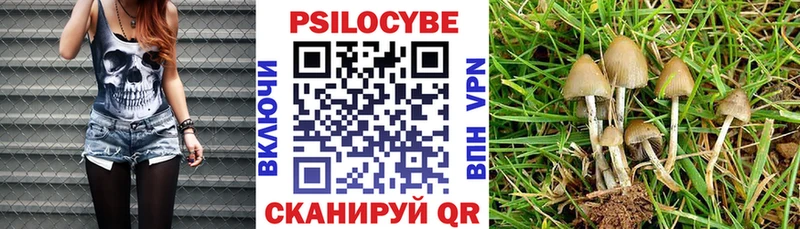 Галлюциногенные грибы Psilocybe  Туапсе 